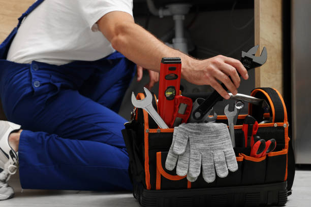 Best Plumbing Services Near Me  in Hallandale Beach, FL